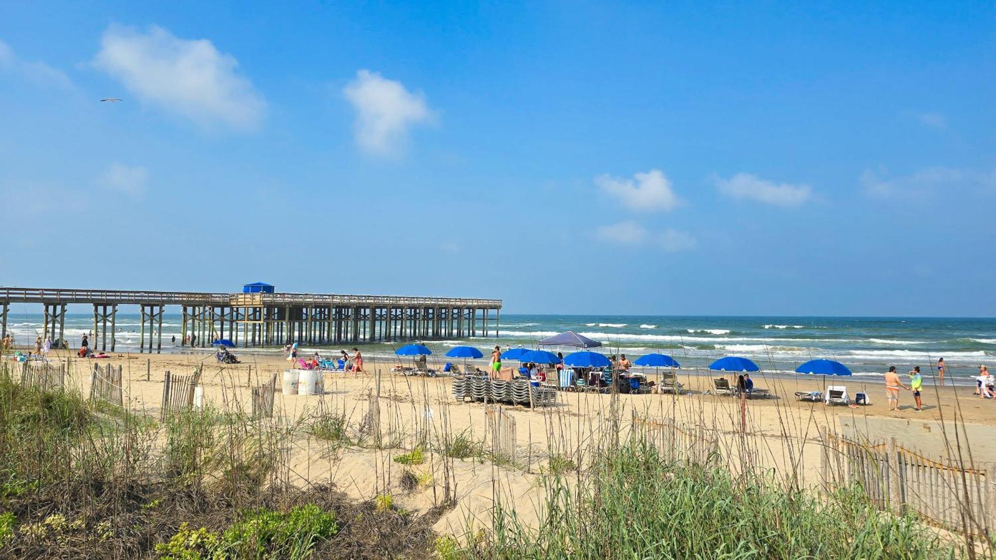 Herons Haven Coastal Elegance With Pool Access 223 South Padre Island Exteriér fotografie