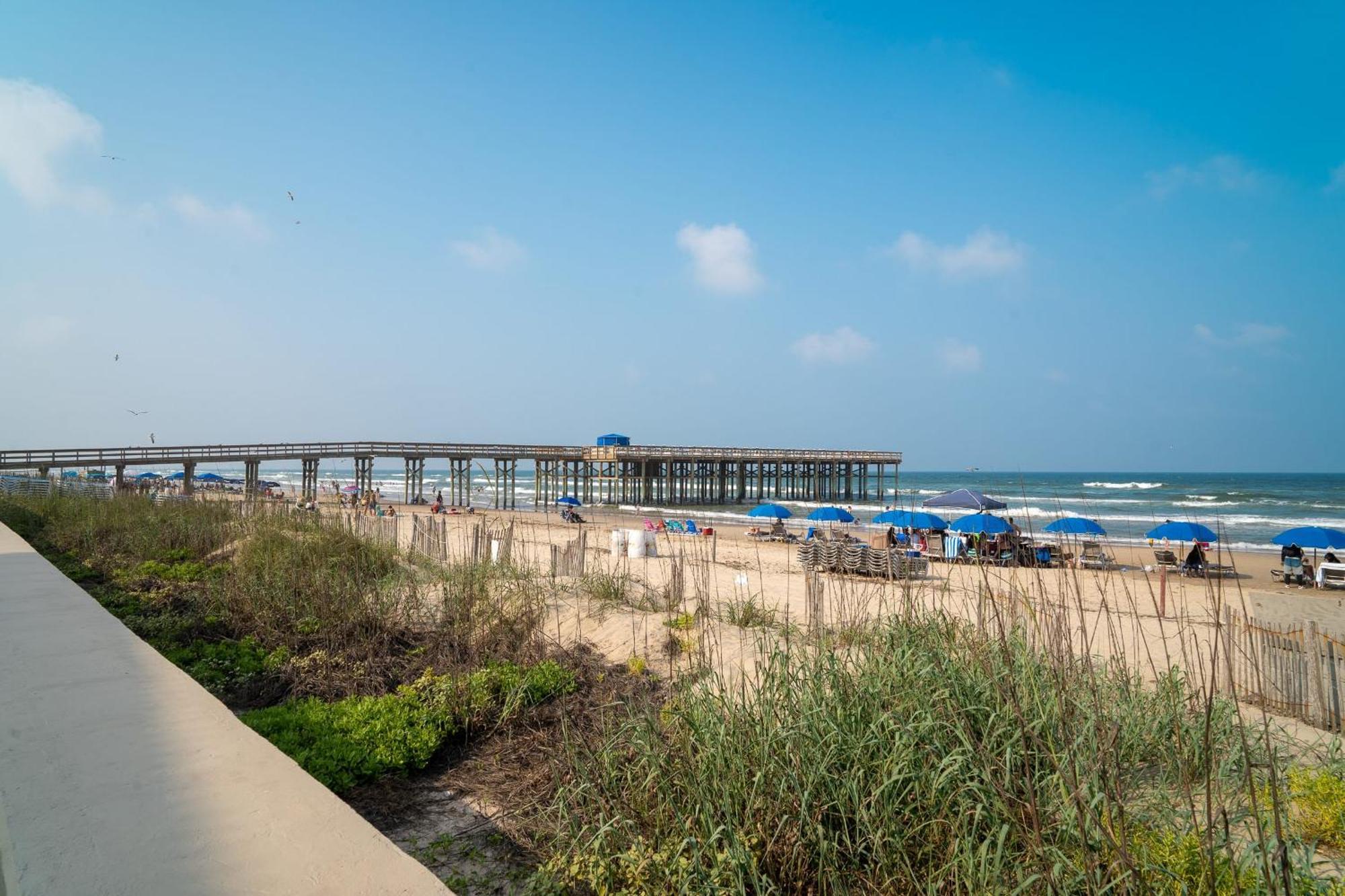Herons Haven Coastal Elegance With Pool Access 223 South Padre Island Exteriér fotografie